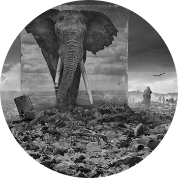 O’Art, ünlü İngiliz sanatçı Nick Brandt’i Ağırlıyor