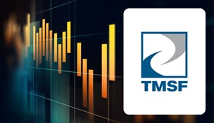 Fon Zaman Aşımı - TMSF