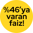 Story Image