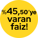 Story Image
